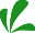 Gauterra